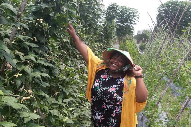 Exploring organic farm & Vietnamese Culinary with Master chef - Why this is more than a standard cooking class