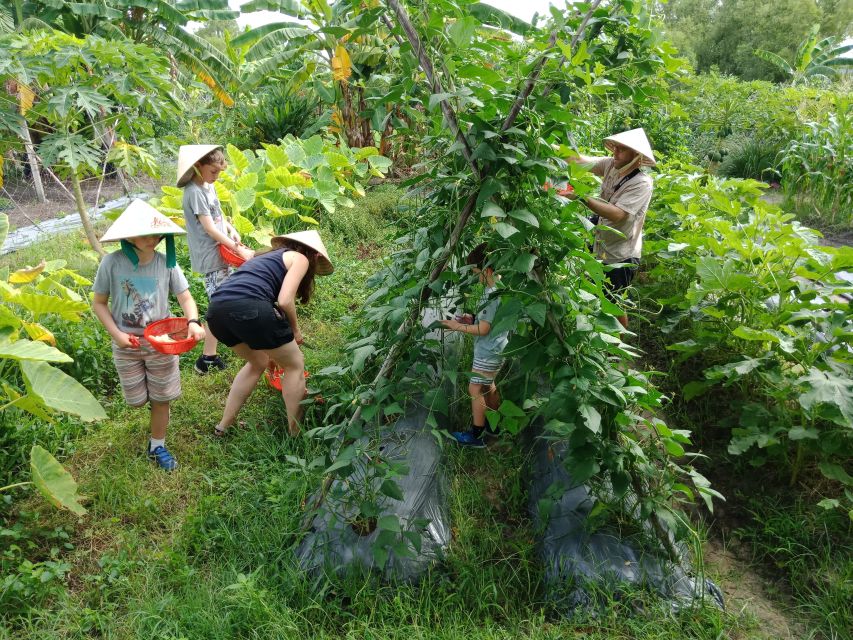 Farm-To-Table Healthy Cooking Class: Half-Day Tour - The meal at the end