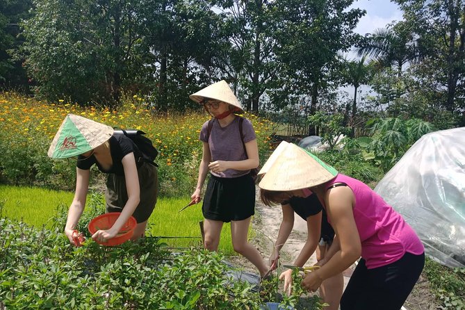 Farm-To-Table Healthy Cooking Class in Ho Chi Minh City - Preparing four Vietnamese dishes in an open-air kitchen