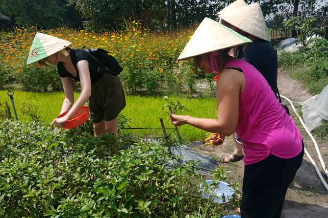 Farm-To-Table Healthy Cooking Class in Ho Chi Minh City - Eating the results instead of rushing off