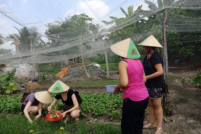 Farm-To-Table Healthy Cooking Class in Ho Chi Minh City - Who will enjoy this farm-to-table day