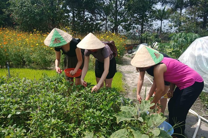 Farm-To-Table Healthy Cooking Class in Ho Chi Minh City - Meeting the farm animals and plants