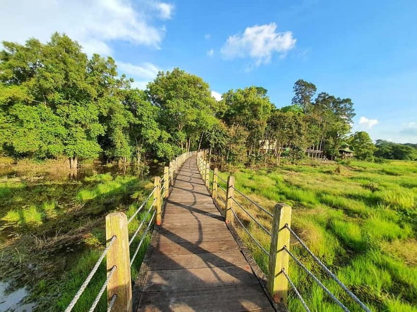 From HCM: Cat Tien Park Jungle Day Trip with Optional 2D1N - Why Cat Tien works as a break from Ho Chi Minh City
