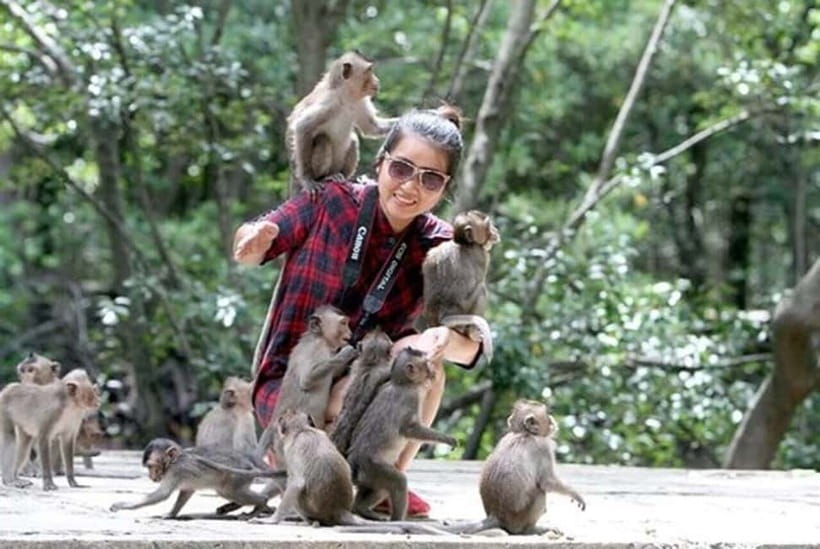 From Ho Chi Minh: Can Gio Monkey Island & Mangrove Tour - From Ho Chi Minh City to Can Gio’s mangrove country