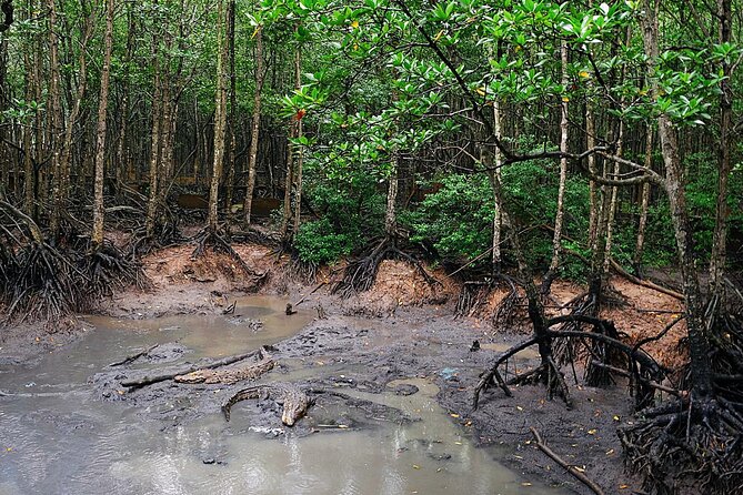 From Ho Chi Minh: Can Gio Trek – Monkey Island & Crocodile Farm - Monkey Island and the art of protecting your belongings