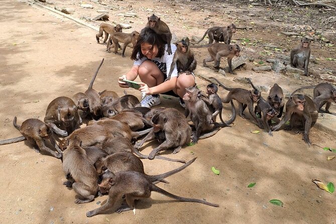 From Ho Chi Minh: Can Gio Trek – Monkey Island & Crocodile Farm - Crocodiles at Hoa Ca