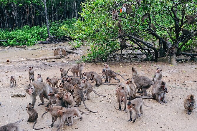 From Ho Chi Minh: Can Gio Trek – Monkey Island & Crocodile Farm - Seafood market, seaside lunch, and local flavor
