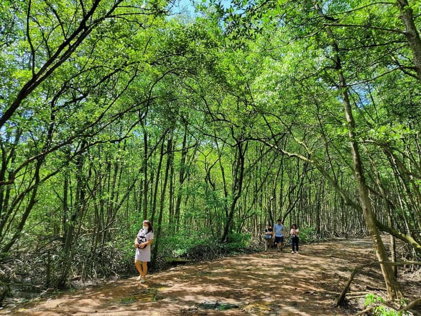 From Ho Chi Minh City: Can Gio Mangrove & Monkey Island Trek - Can Gio in six useful points