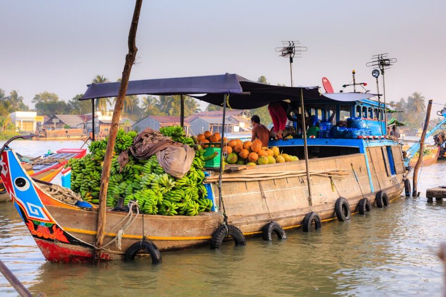 From Ho Chi Minh City: Mekong Delta Full-Day Private Tour - A Mekong lunch with local dishes