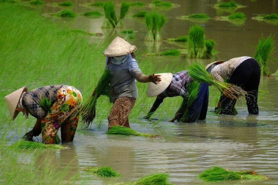 From Ho Chi Minh City: Mekong Delta Full-Day Private Tour - Cai Be floating market and the first boat ride