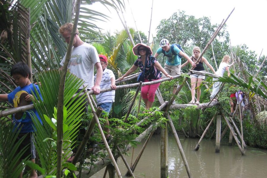 From Ho Chi Minh City: Mekong Delta VIP Tour by Limousine - Lunch with Vietnamese dishes