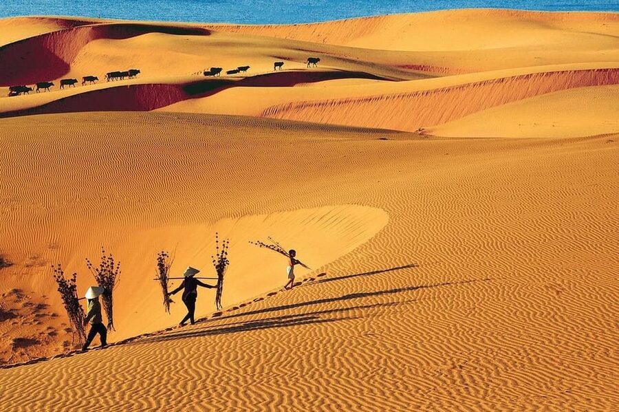 From Ho Chi Minh City: Relax In Mui Ne Beach In 1 Day - Free time at Mui Ne Beach