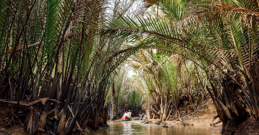 From Ho Chi Minh: Classic Mekong - My Tho, Ben Tre Full Trip - Cruising the Mekong River by boat