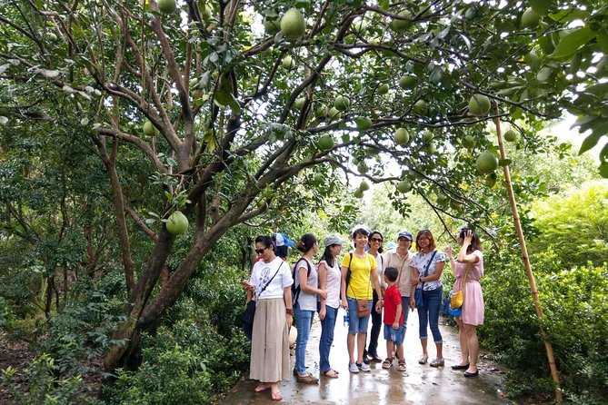 From Ho Chi Minh: Full-Day Mekong Delta Tour to My Tho & Ben Tre - The motorboat to Unicorn Island