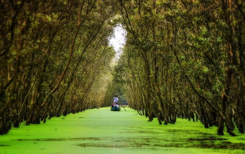 From Ho Chi Minh: Mekong Delta 3-day w Tra Su Forest - The first morning from Ho Chi Minh City to My Tho