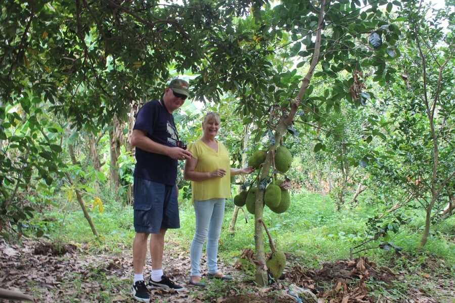 From Ho Chi Minh: Mekong Delta Private Day Tour - Four mythical islets on the Tien River