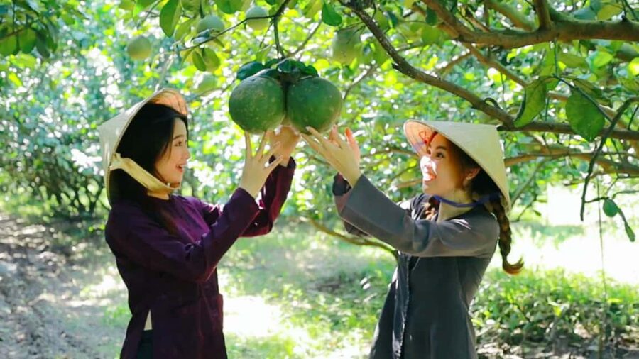 From Ho Chi Minh: Mekong Delta Tour to My Tho & Ben Tre 1Day - Đờn Ca Tài Tử and a plate of fresh fruit