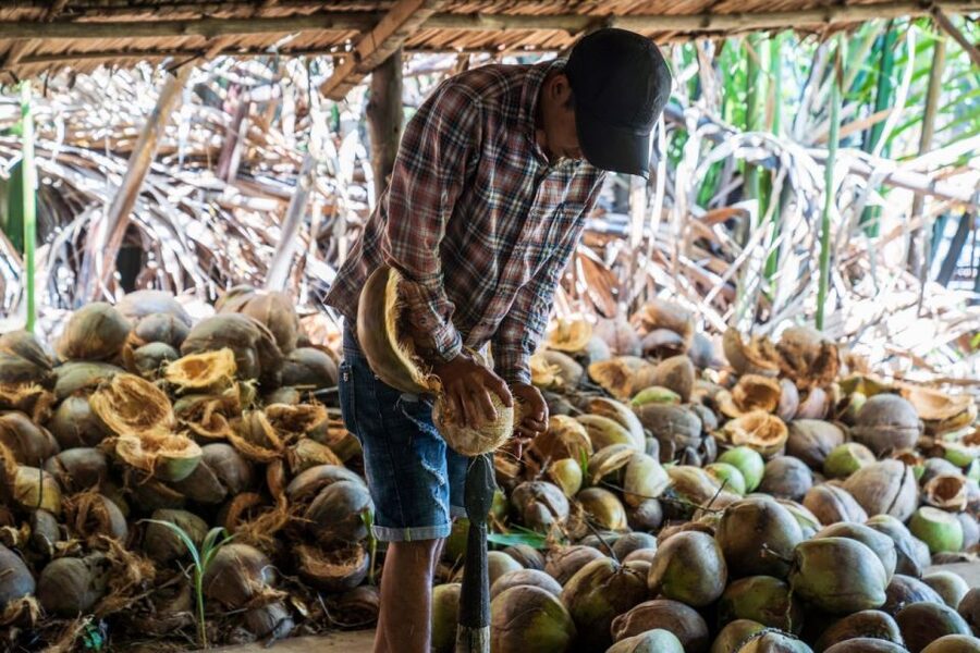 From Ho Chi Minh: Mekong Delta with Ben Tre 1 Day Tour - Coconut processing and mat weaving