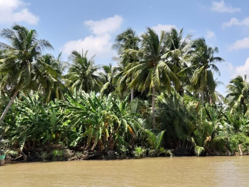 From Ho Chi Minh: Mekong Delta with Ben Tre 1 Day Tour - Timing, comfort, and practical details