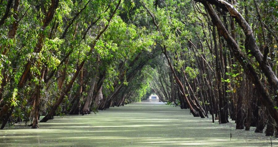 From Ho Chi Minh: Three-Day Mekong Delta Tour - Chau Doc: floating homes and Cham village life