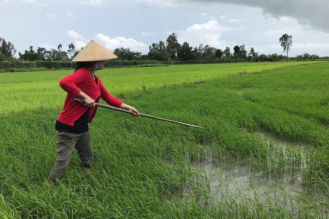 FULL Day - CAI RANG FLOATING MARKET, COOKING CLASS AND EXPLORE THE COUNTRYSIDE - Hammock time after lunch
