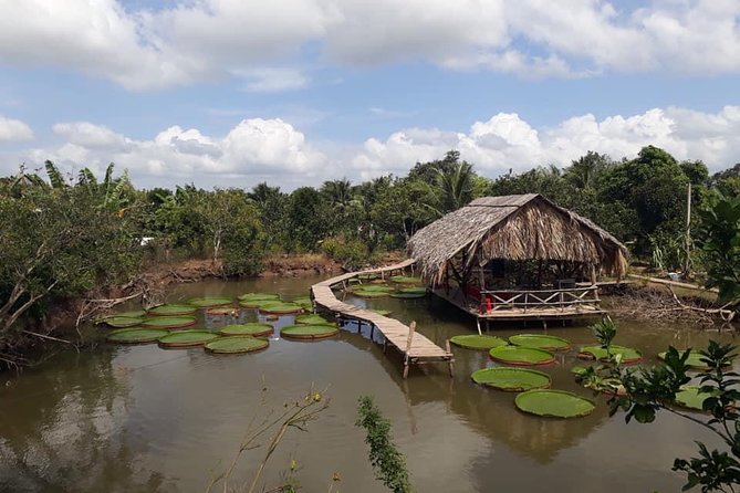 Full-day Cai Rang floating market - explore countryside, make bakery - from HCM - From the market to Sau Hoai’s noodle factory