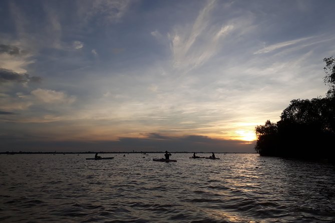 Full Day Experience Mekong River Life By Kayak & Boat. - Key points at a glance