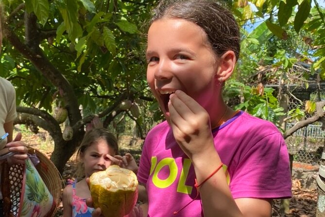 Full Day Experience to Farm and Chocolate - Key points to know before booking