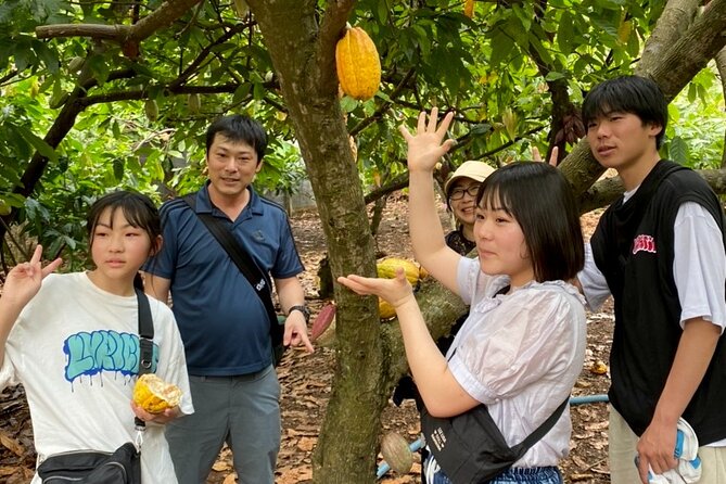 Full Day Experience to Farm and Chocolate - Making and decorating chocolate to take home