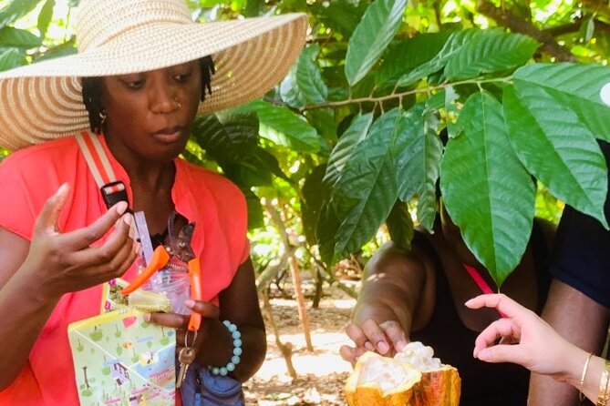 Full Day Experience to Farm and Chocolate - Group size, timing, and what to bring