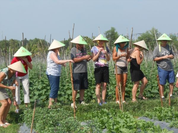 Full-Day Farming & Cooking class at Agricultural Village - Cattle, gardens, and traditional farming
