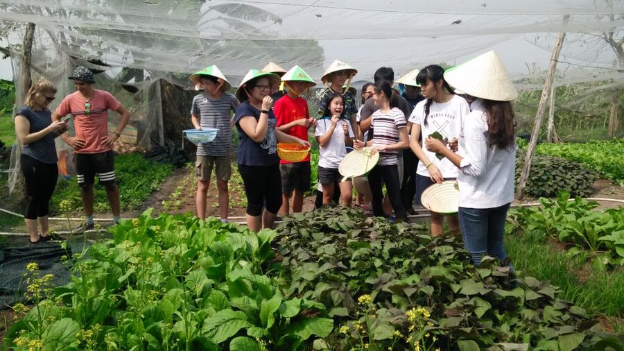 Full-Day Farming & Cooking class at Agricultural Village - Lunch made from your own harvest