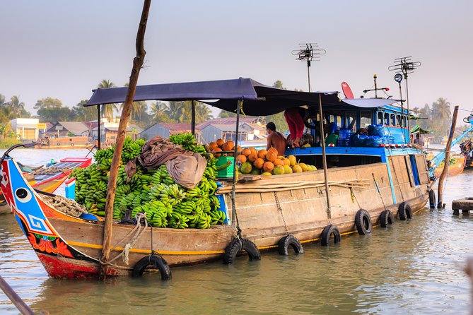 Full-Day Mekong Delta Tour - How the private format affects the day