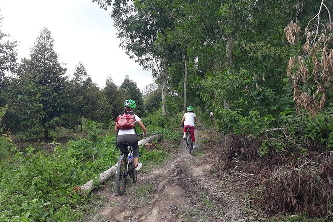 Full Day Off The Beaten Track the Mekong Delta. - Why this Mekong trip feels different