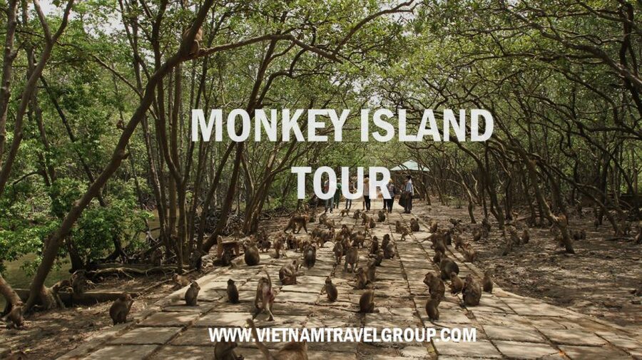 HCM:Can Gio Mangrove Forest Tour-Monkey Island - Leaving Ho Chi Minh City around 7:30 AM