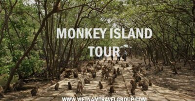Can Gio Mangrove Forest Tour-Monkey Island
