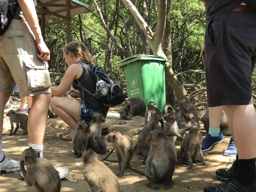 HCM:Can Gio Mangrove Forest Tour-Monkey Island - The mangrove reserve by water and on foot