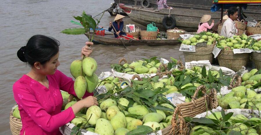 HCMC: Cai Rang Floating Market & Mekong Delta Private Tour - Why Cai Rang is worth the early alarm