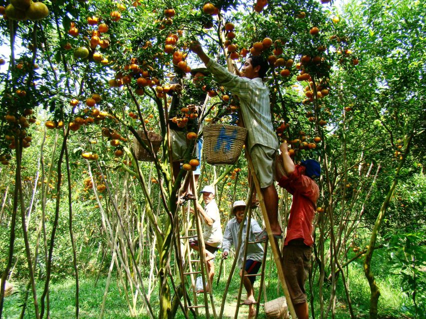 HCMC: Cai Rang Floating Market & Mekong Delta Private Tour - Is the $140 price fair?