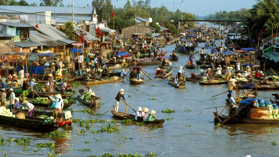 HCMC: Cai Rang Floating Market & Mekong Delta Private Tour - Who will enjoy this Mekong Delta day?