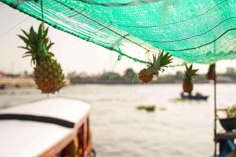Ho Chi Minh: 3-Day Mekong Delta & Optional Exit to PhnomPenh - Chau Doc’s floating village and Cham Village