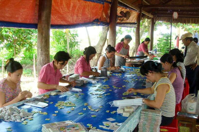 Ho Chi Minh: 3-Day Mekong Delta & Optional Exit to PhnomPenh - Who should book this Mekong Delta route?