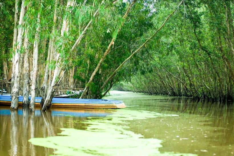 Ho Chi Minh: 3-Day Mekong Delta & Optional Exit to PhnomPenh - Is the $261 price fair?