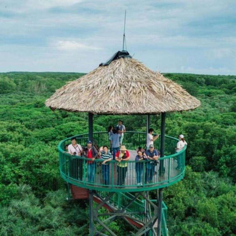 Ho Chi Minh: Can Gio Mangrove and Monkey Island - Why Can Gio makes a good break from Ho Chi Minh City