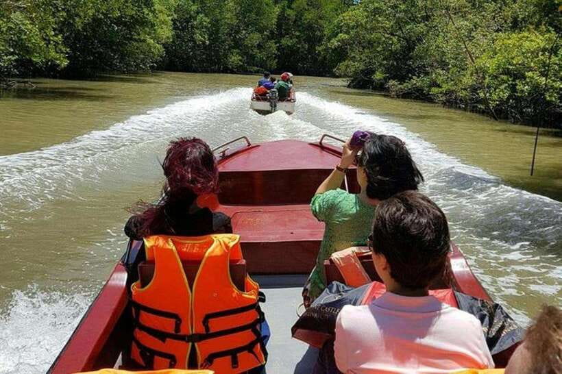 Ho Chi Minh: Can Gio Mangrove and Monkey Island - The road south and the ferry crossing