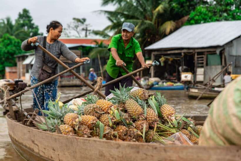 Ho Chi Minh City: Cai Rang Floating Market in Can Tho Tour - Gardens, fruit, and the monkey bridge