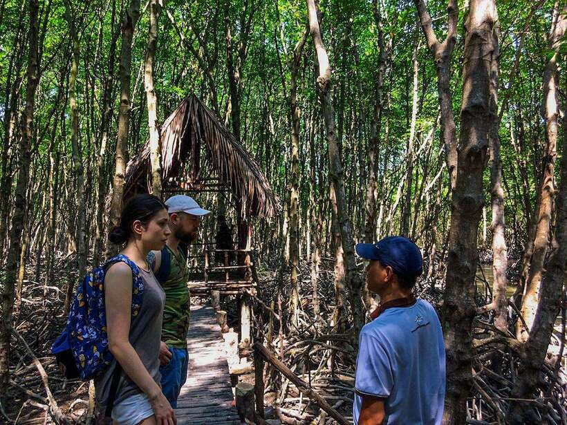 Ho Chi Minh City: Can Gio Eco Escape And Wildlife Discovery - Crocodile swamp and bat lagoon