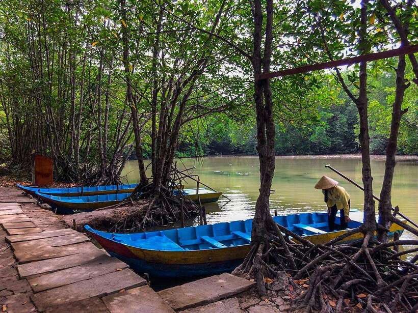 Ho Chi Minh City: Can Gio Eco Escape And Wildlife Discovery - Climbing the 26-meter Tang Bong Tower