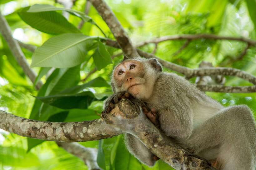 Ho Chi Minh City: Can Gio Eco Escape And Wildlife Discovery - The long morning ride from Ho Chi Minh City