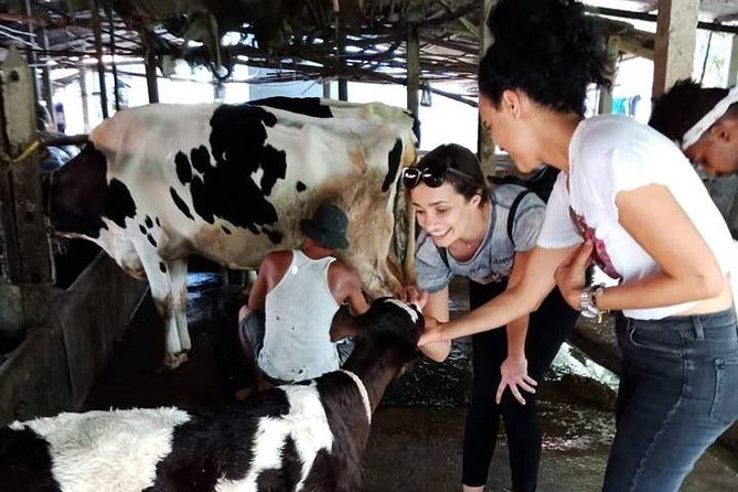 Ho Chi Minh City Full-Day Farm trip with Healthy Cooking Class - A farm visit that explains Vietnamese food